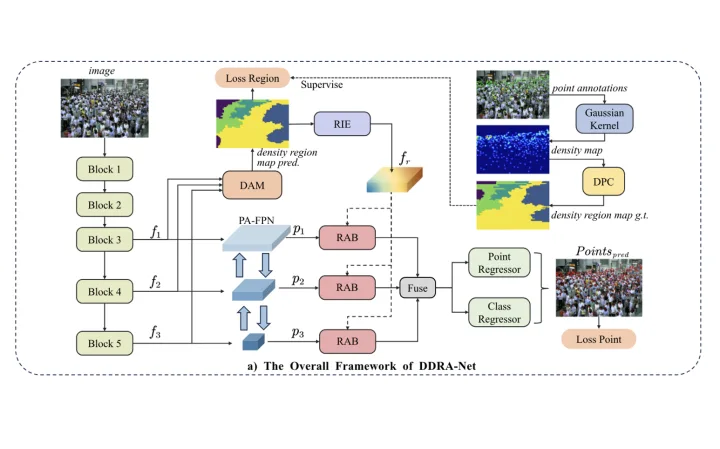 DDRANet architecture
