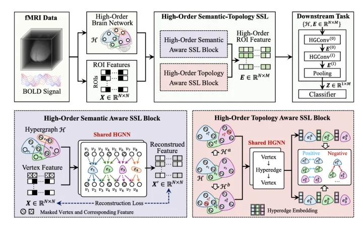 Hypergraph self-supervised learning framework for brain disease diagnosis